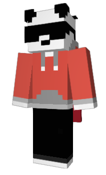 Minecraft skin d5d