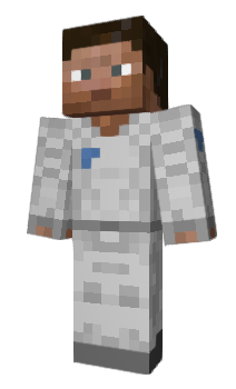 Minecraft skin zellse