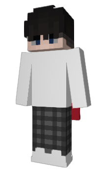 Minecraft skin Pleks