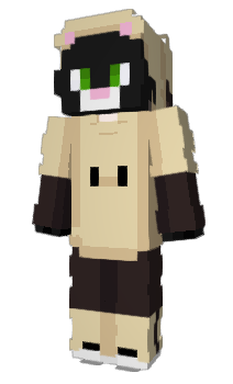 Minecraft skin Cato259