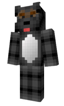 Minecraft skin Shadow111111111