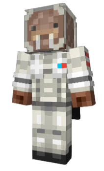 Minecraft skin SpaceWalrus