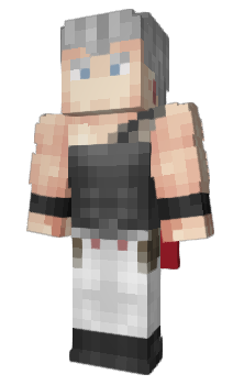 Minecraft skin Polnareg