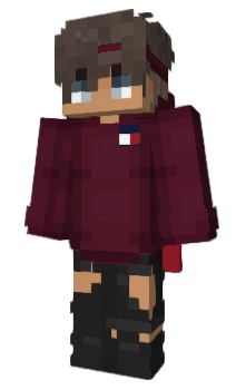 Minecraft skin Frytu