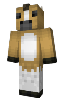Minecraft skin elcoon