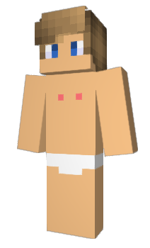 Minecraft skin Didox