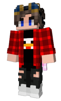 Minecraft скін по ніку Fefedix