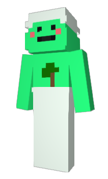 Minecraft skin snagi