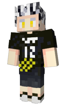 Minecraft skin sadturtl