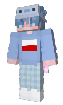 Minecraft skin ToCR