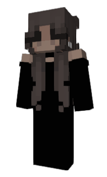 Minecraft skin Besiege