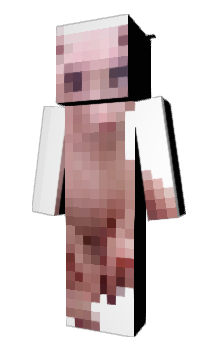 Minecraft skin kow___