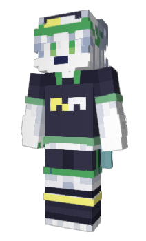 Minecraft скін по ніку _RAIM