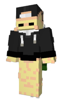 Minecraft skin CatJard