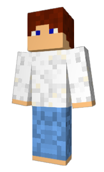 Minecraft skin LandRR