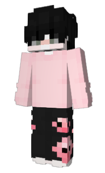 Minecraft skin postale