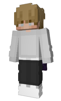 Minecraft skin fabric23
