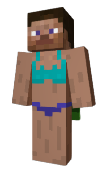Minecraft skin ProArcher