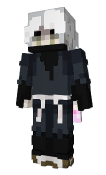 Minecraft skin CATru