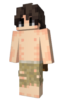 Minecraft скін по ніку Er_z