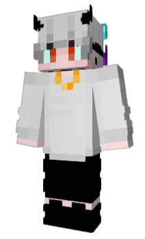 Minecraft skin S2X2