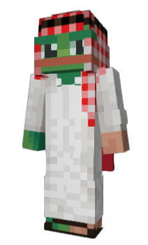 Minecraft skin zaply