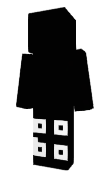 Minecraft skin cooni