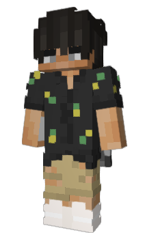 Minecraft skin aswet