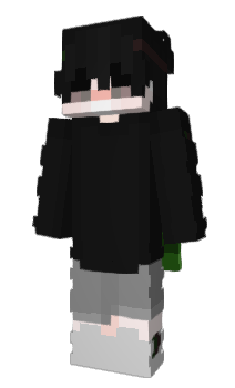 Minecraft skin lwiis