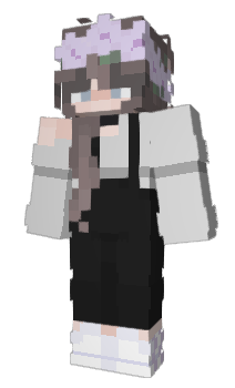 Minecraft skin 300r