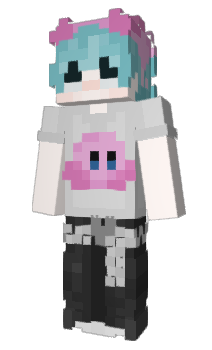 Minecraft skin AmerykaPolnocna