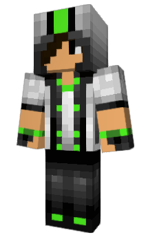 Minecraft skin AmerykaPolnocna