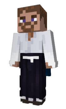 Minecraft skin Sjin