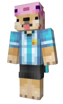 Minecraft skin xDogi