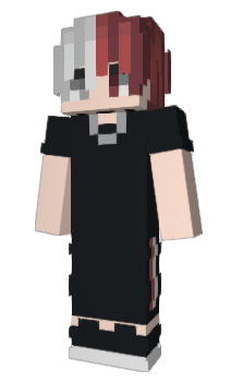 Minecraft skin Btste