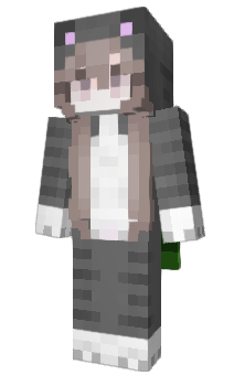 Minecraft skin Miikaay