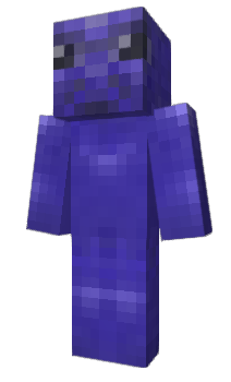 Minecraft skin _MIM