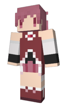 Minecraft skin meteri