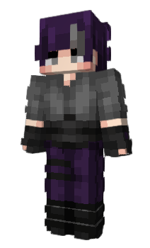 Minecraft skin Fijker_