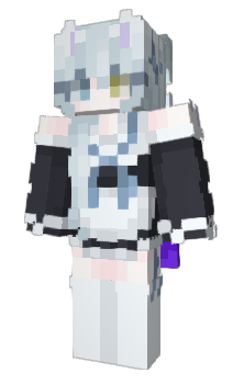 Minecraft skin Va_Ll