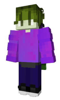 Minecraft skin January8