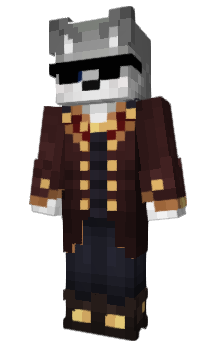 Minecraft skin DrRet