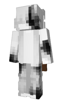 Minecraft skin is_am