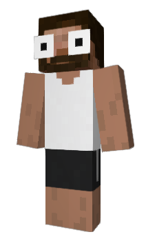 Minecraft skin mfsa