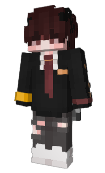 Minecraft skin Erfan_Kz