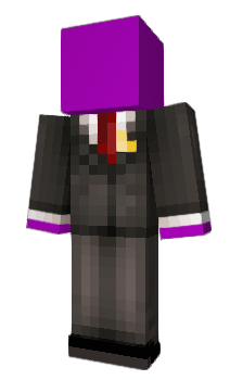 Minecraft skin purpleIRL