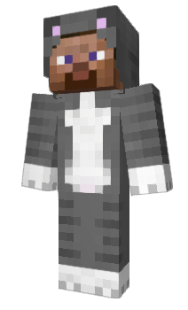 Minecraft skin sxiral