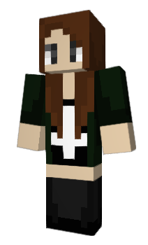 Minecraft skin heedi