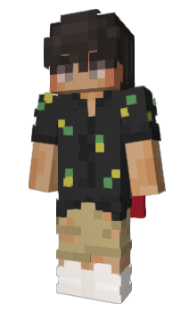 Minecraft skin NoahhhsArk
