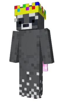 Minecraft skin GODRaccoon